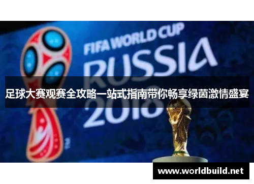 足球大赛观赛全攻略一站式指南带你畅享绿茵激情盛宴
