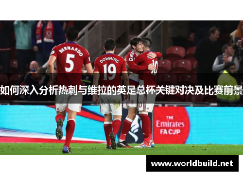 如何深入分析热刺与维拉的英足总杯关键对决及比赛前景