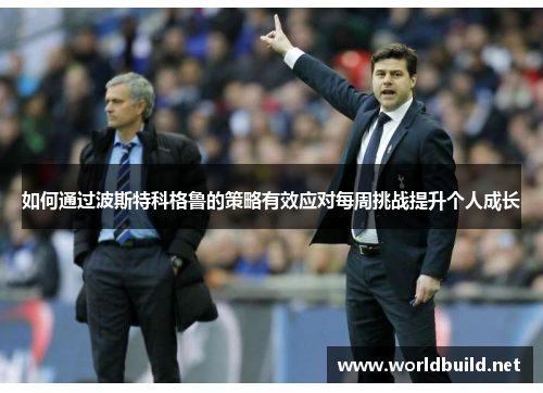 如何通过波斯特科格鲁的策略有效应对每周挑战提升个人成长