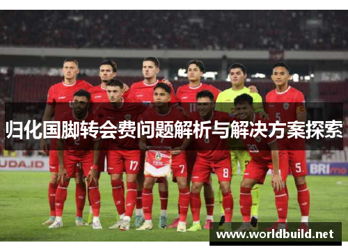 归化国脚转会费问题解析与解决方案探索